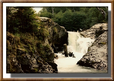 Foto Cris-Tierra del Fuego