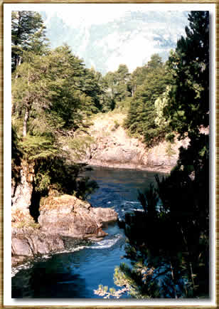 Foto Cris-Parque Nac. Nahuel Huapi