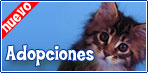 Infomascotas